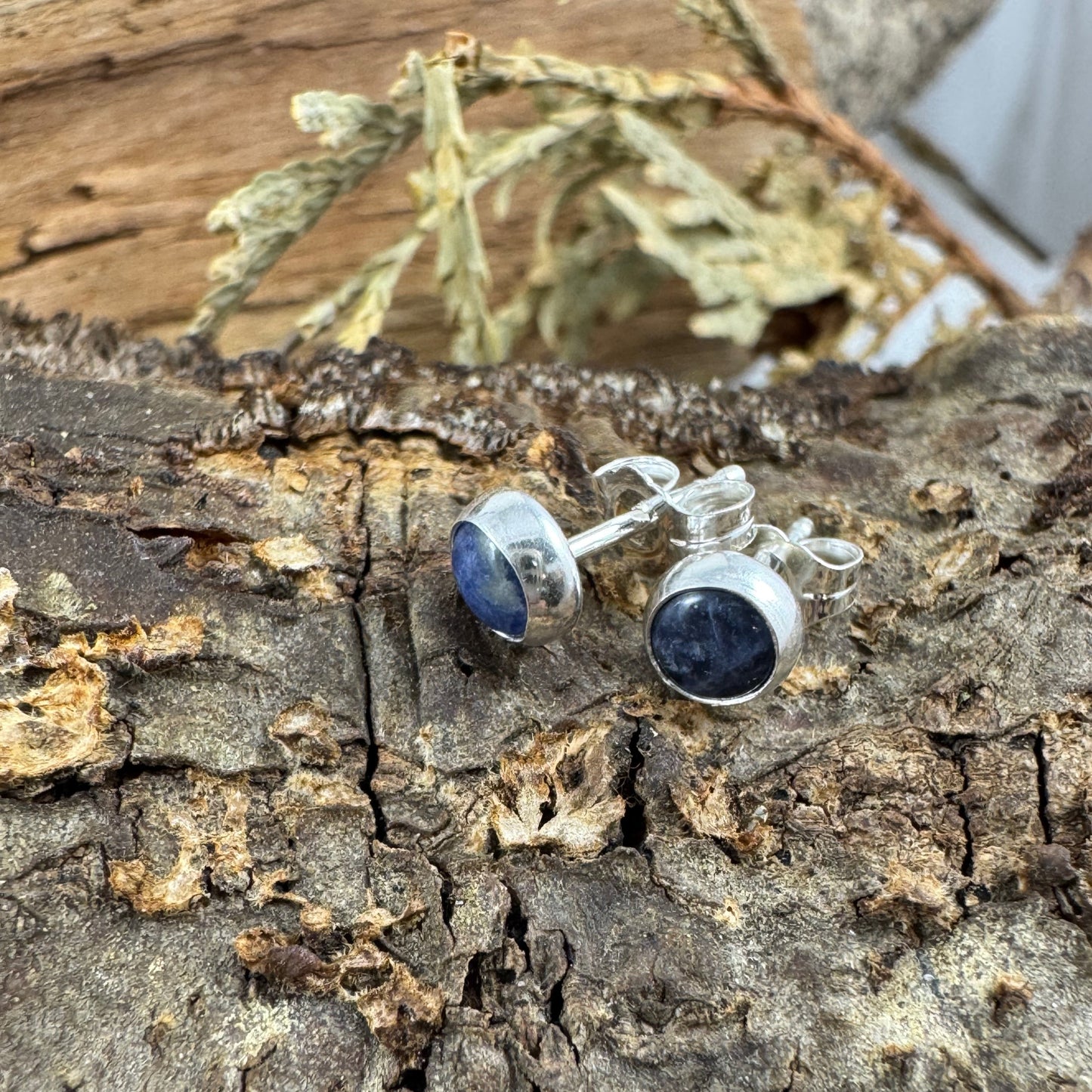 Beautiful Sodalite stud earrings set in fine silver sitting on textured tree bark with leaves in the backgroud