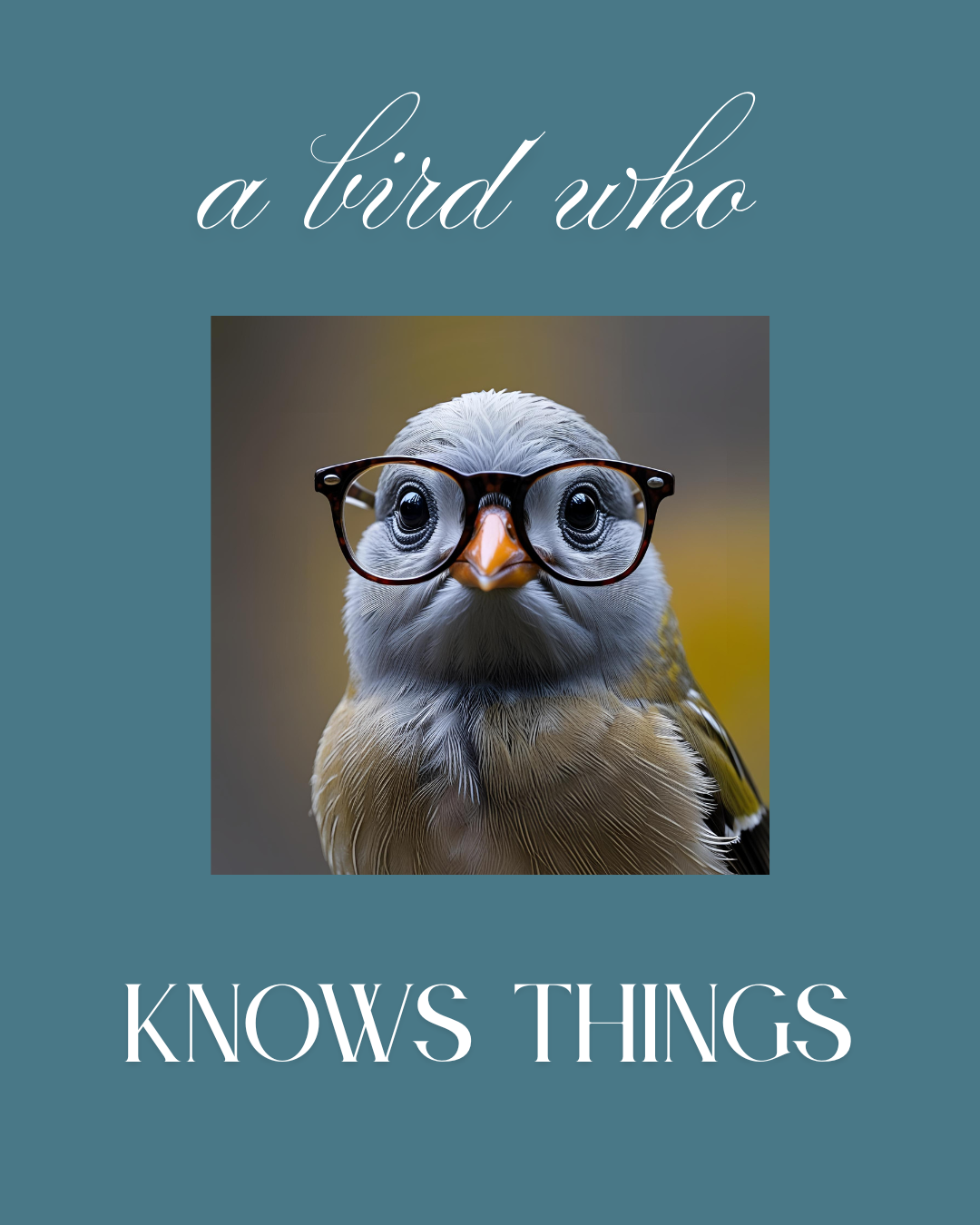 Feather from a Bird Who Knows Things