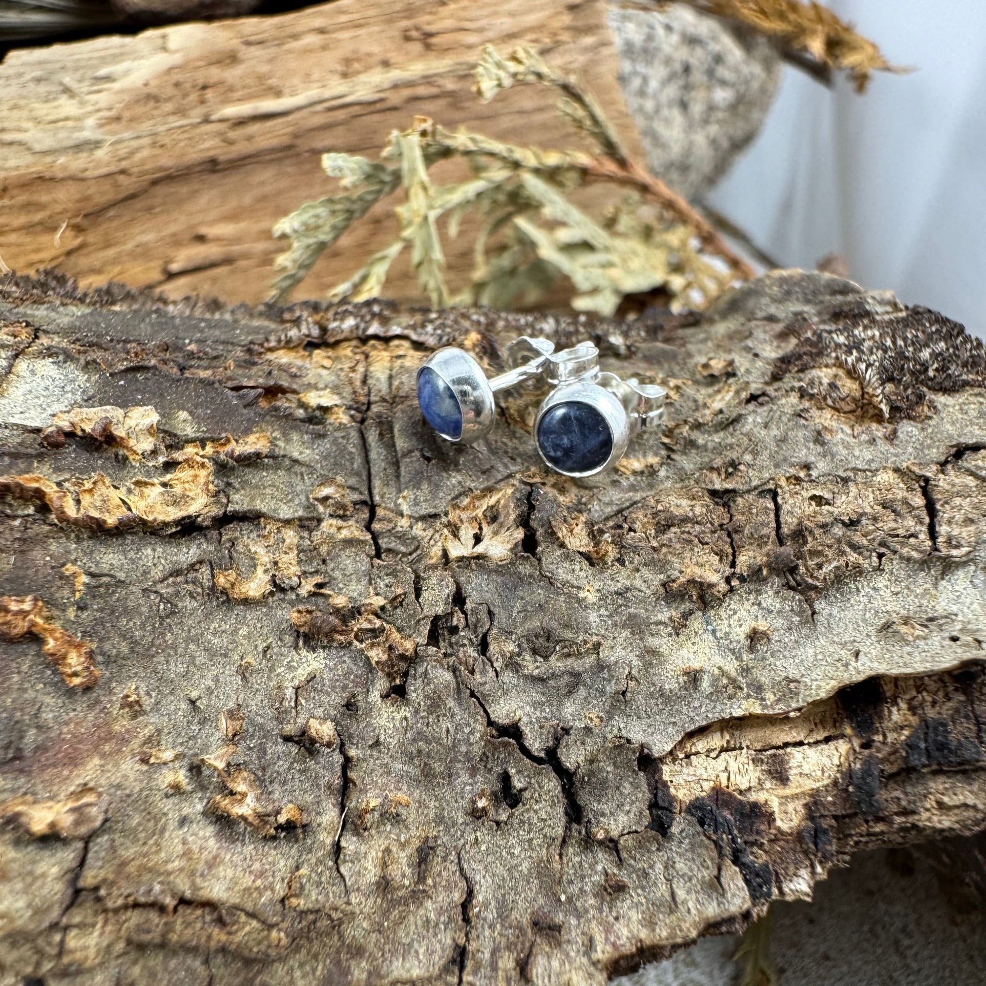 Fine silver bezel stud round earring in Sodalite on tree bark background
