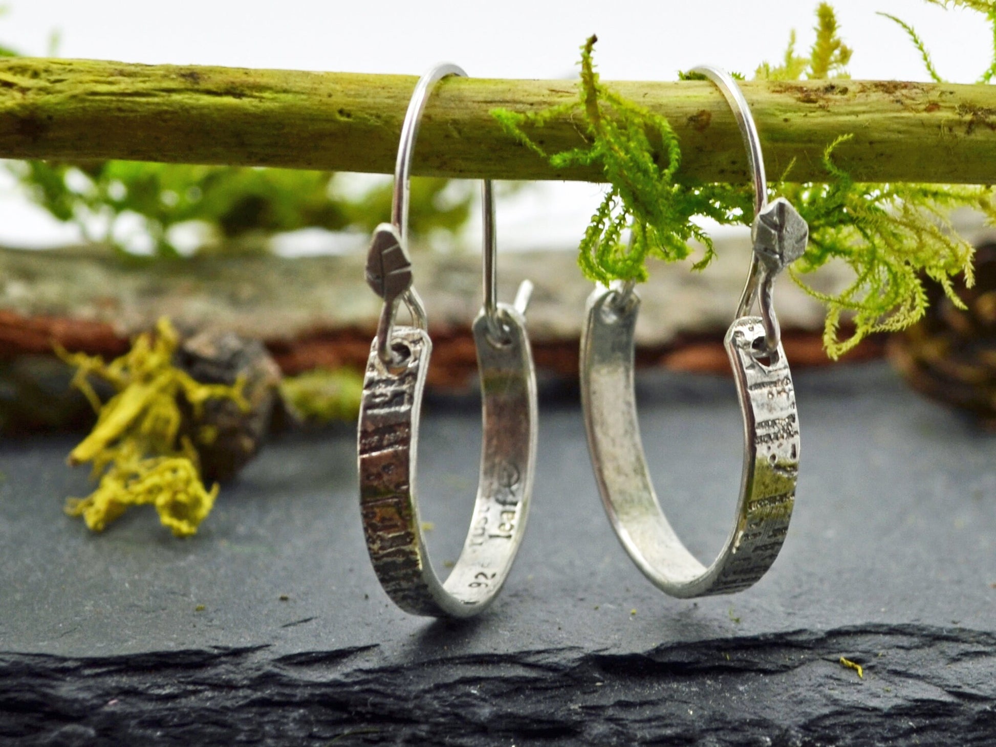 Tree Bark Hoops on branch with moss