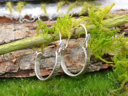 Tree Bark Hoops on a green branch with green moss leaning against tree bark